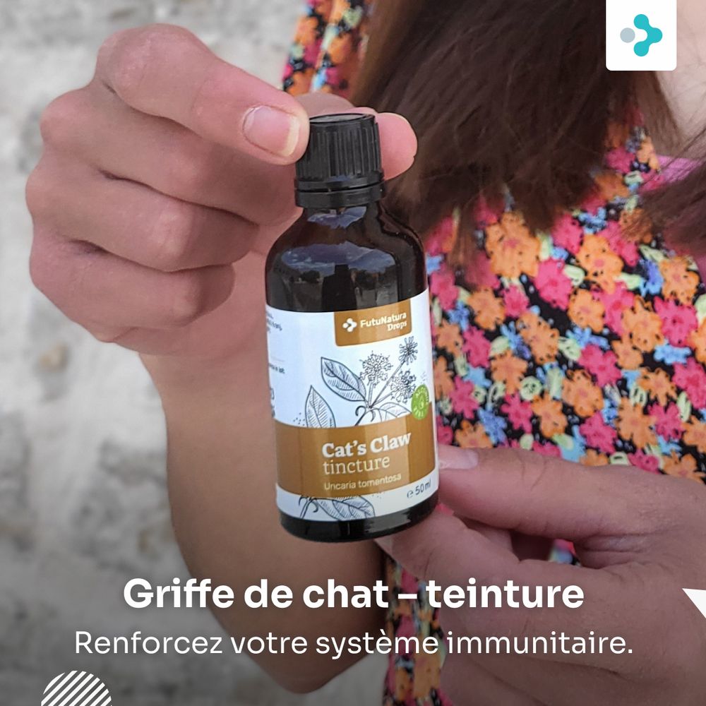 Mains tenant une bouteille de teinture de griffe de chat, 50 ml.