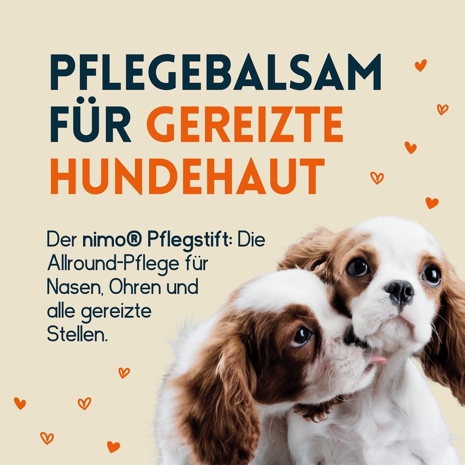 nimo® baume de soin pour chiens • avec cire d'abeille & propolis contre les zones irritées et sèches