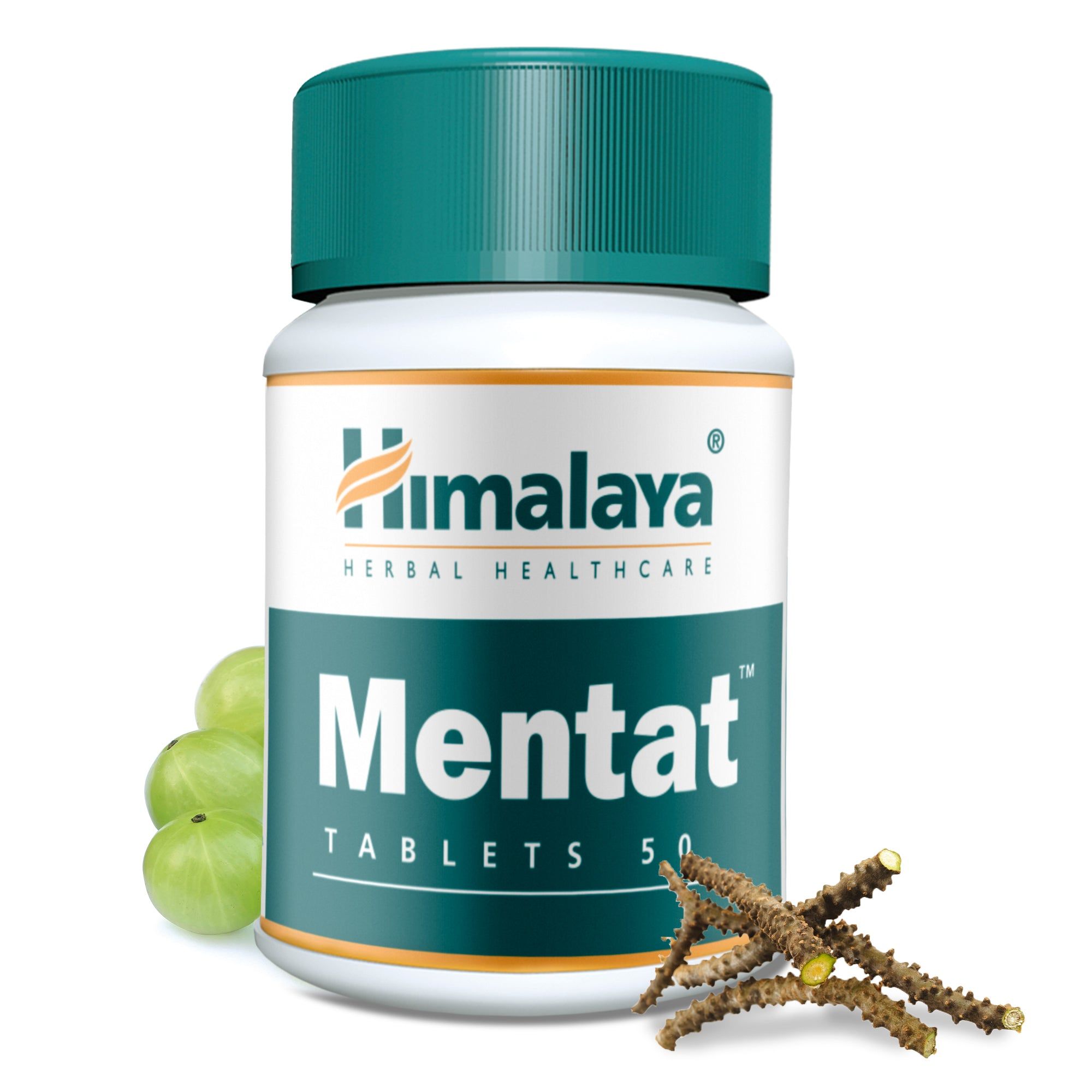 Himalaya Mentat
