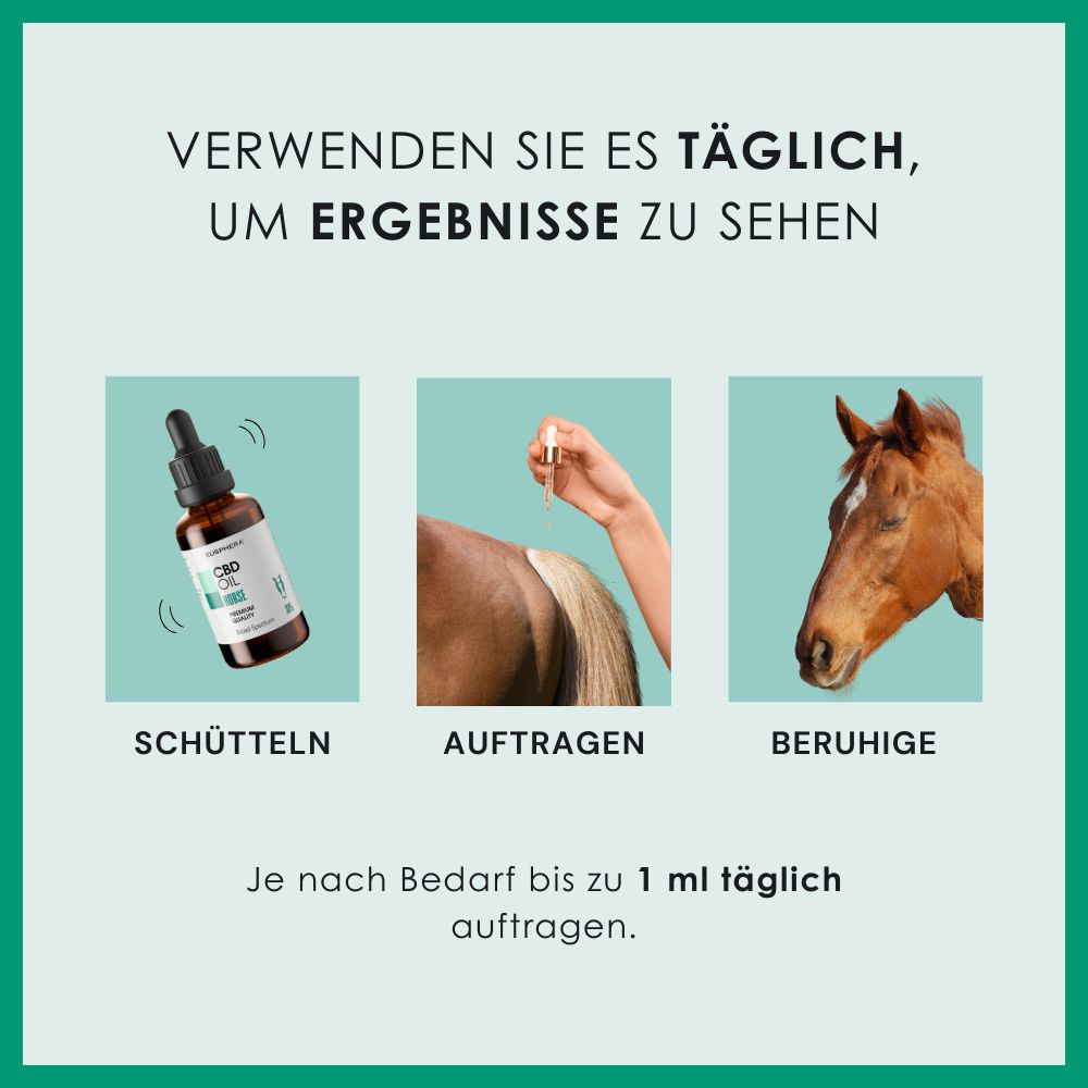 Gebruik van CBD Oil Horse. Schudden, aanbrengen, kalmeren. Tot 1 ml per dag.