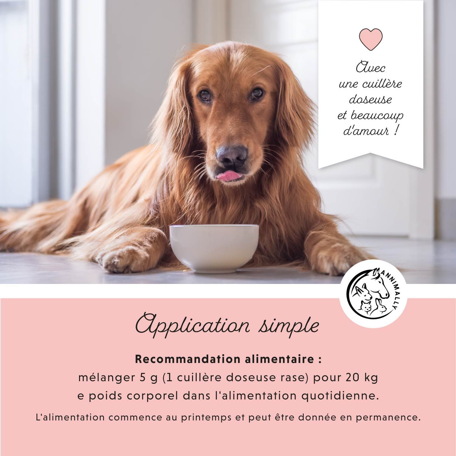 Chien devant un bol. Texte : Application simple. Recommandation alimentaire : 5 g par 20 kg de poids corporel.