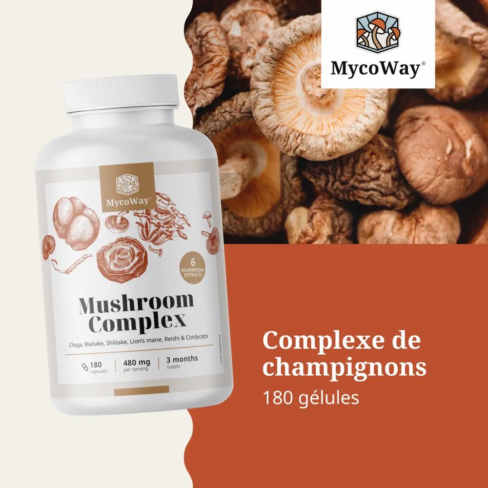 Flacon blanc avec étiquette marron. Inscription: Mushroom Complex. 180 gélules, 480 mg par portion, 3 mois d'approvisionnement.
