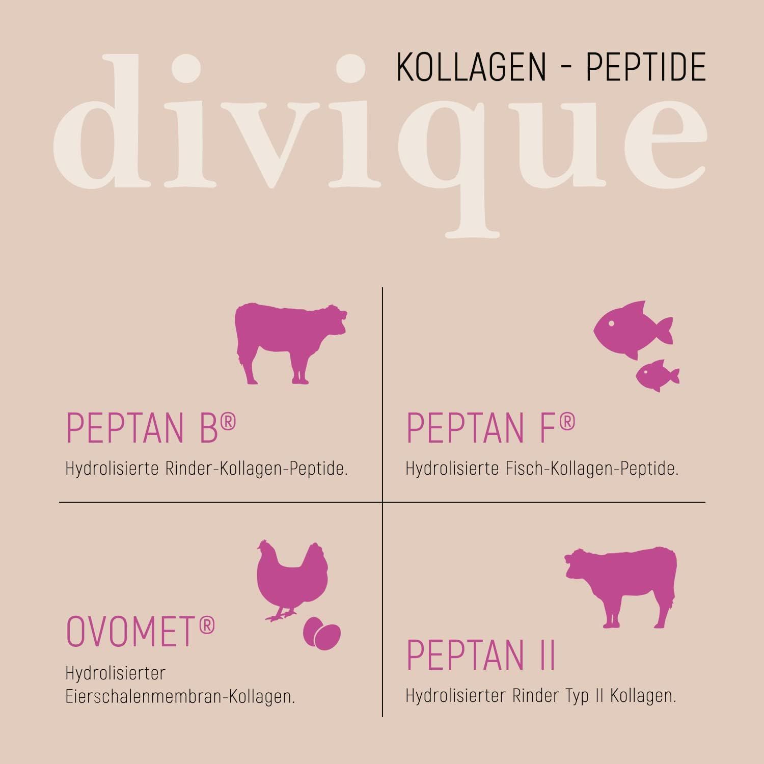 Infographic met pictogrammen van koe, vis, kip en koe. Tekst: Collageenpeptiden. Peptan B, F, Ovomet, Peptan II.