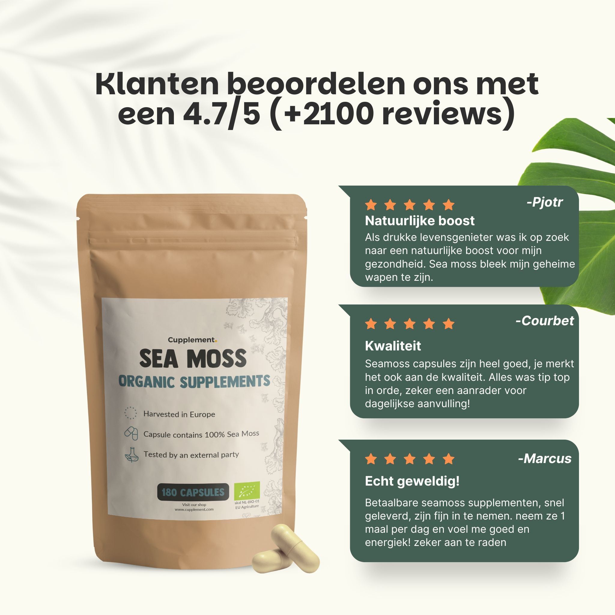 Bruine verpakking met Sea Moss Organic Supplements. Klantenbeoordelingen. Gele sterren.