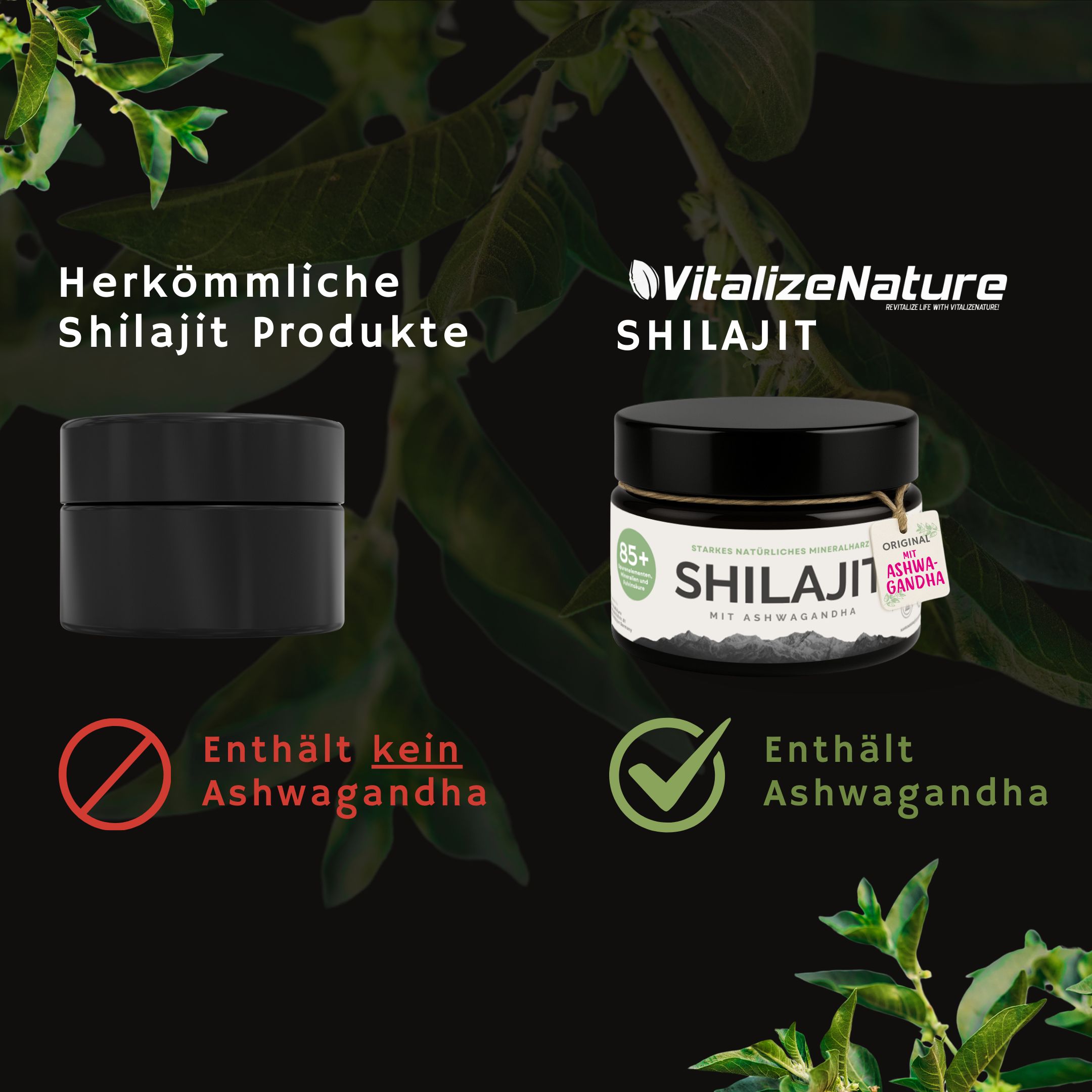 VitalizeNature Shilajit met Ashwagandha