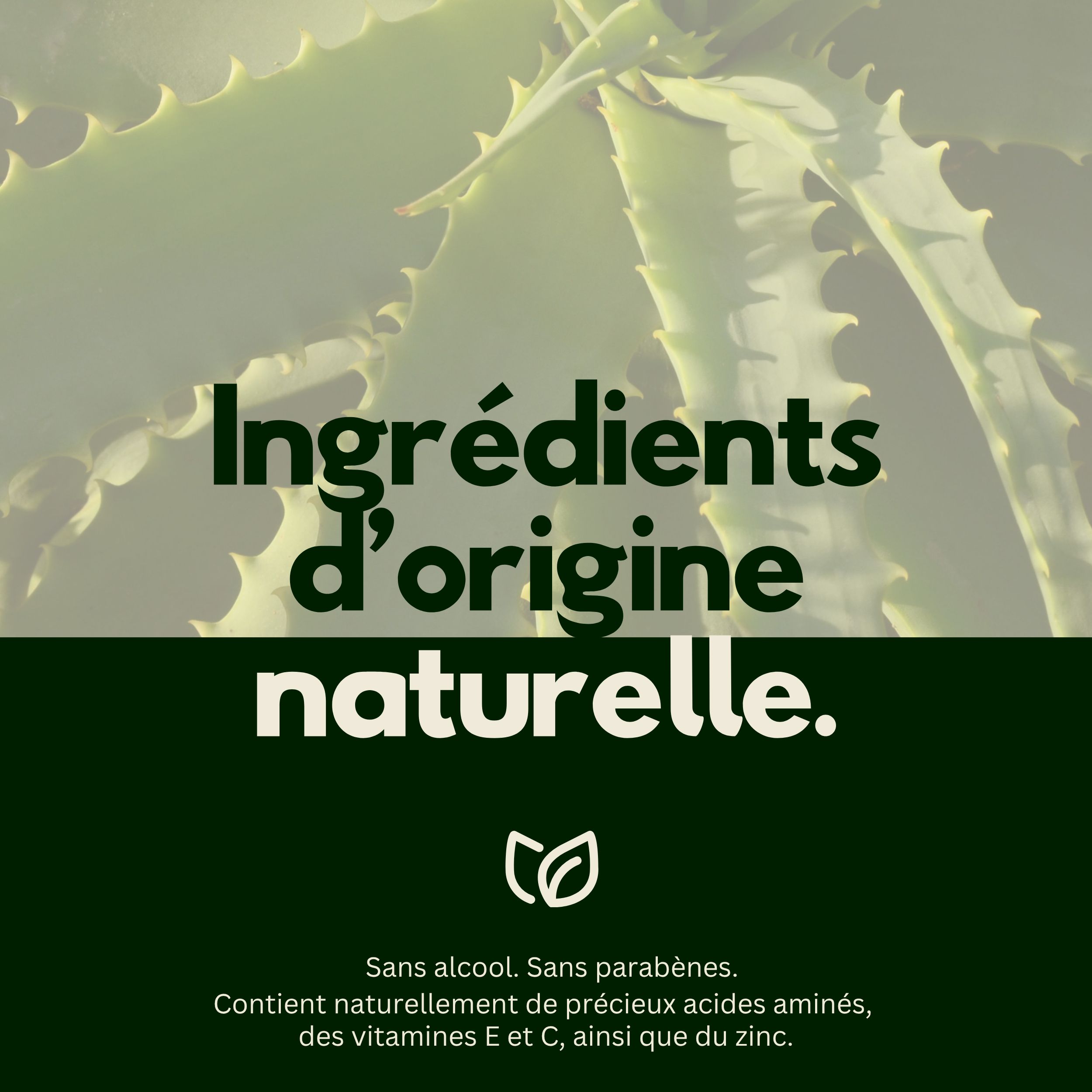 Fond vert avec feuilles d'aloe vera. Texte: Ingrédients d'origine naturelle. Sans alcool, sans parabènes. Contient acides aminés, vitamines.