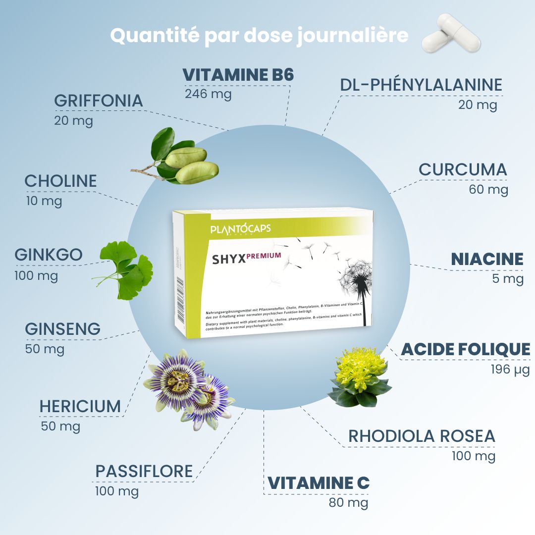 PlantoCaps SHYX PREMIUM : aperçu des ingrédients avec quantités par dose journalière.