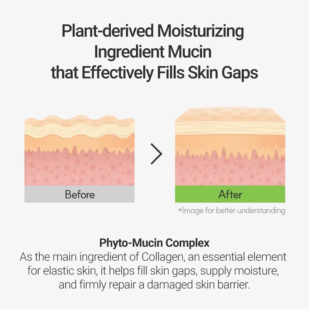 Grafiek: huidlagen voor en na gebruik. Tekst: Plant-derived Moisturizing Ingredient Mucin that Effectively Fills Skin Gaps. Phyto-Mucin Complex.