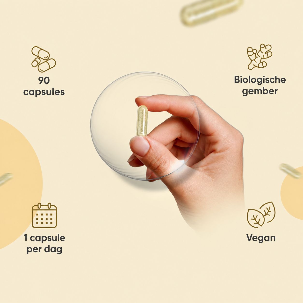 WeightWorld Biologische Gember Capsules: Ondersteunt spijsvertering, rijk aan antioxidanten, ondersteunt gewrichten.
