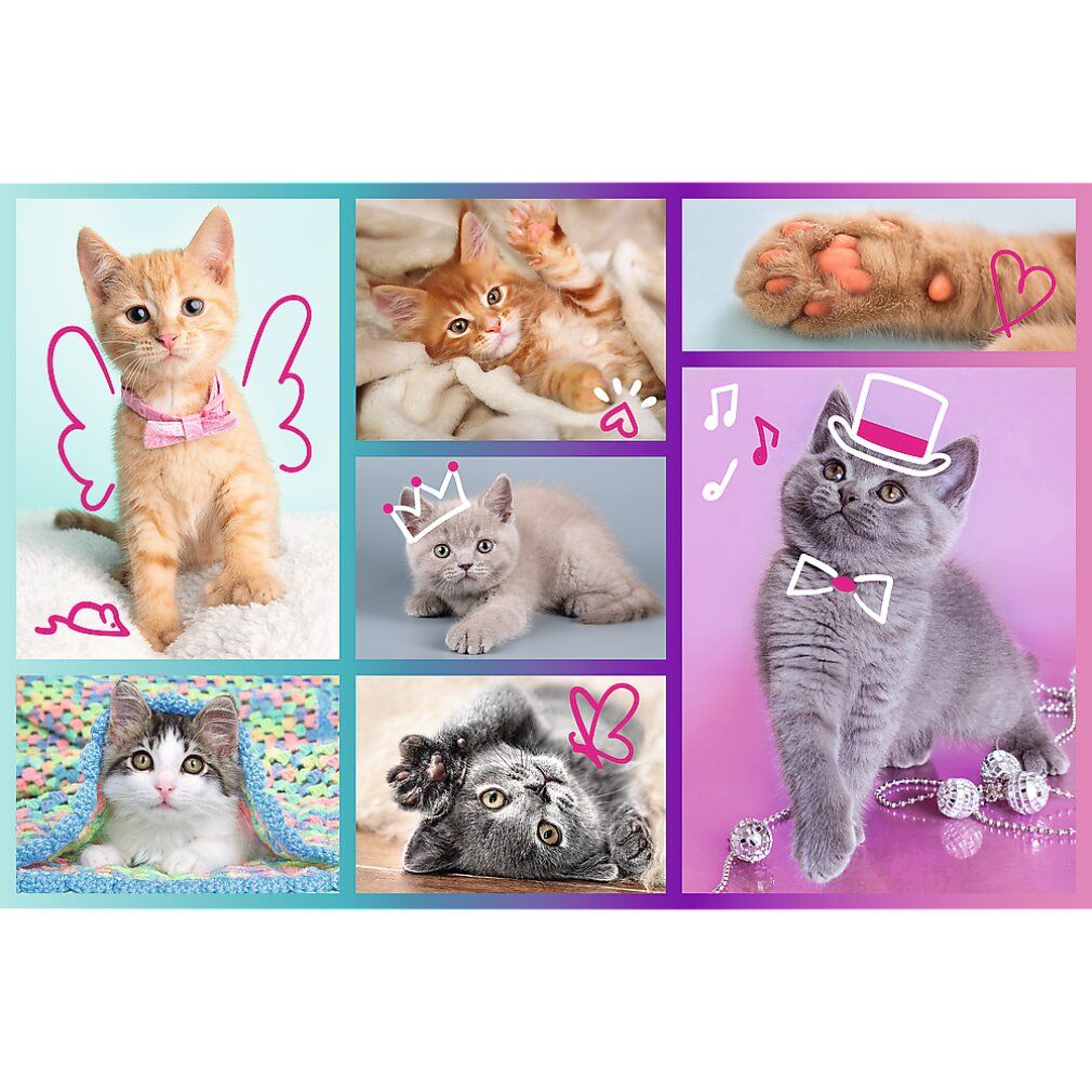 Puzzle avec des chats mignons. Six images de chats, dont un avec des ailes et un avec un chapeau. Fond bleu et violet.