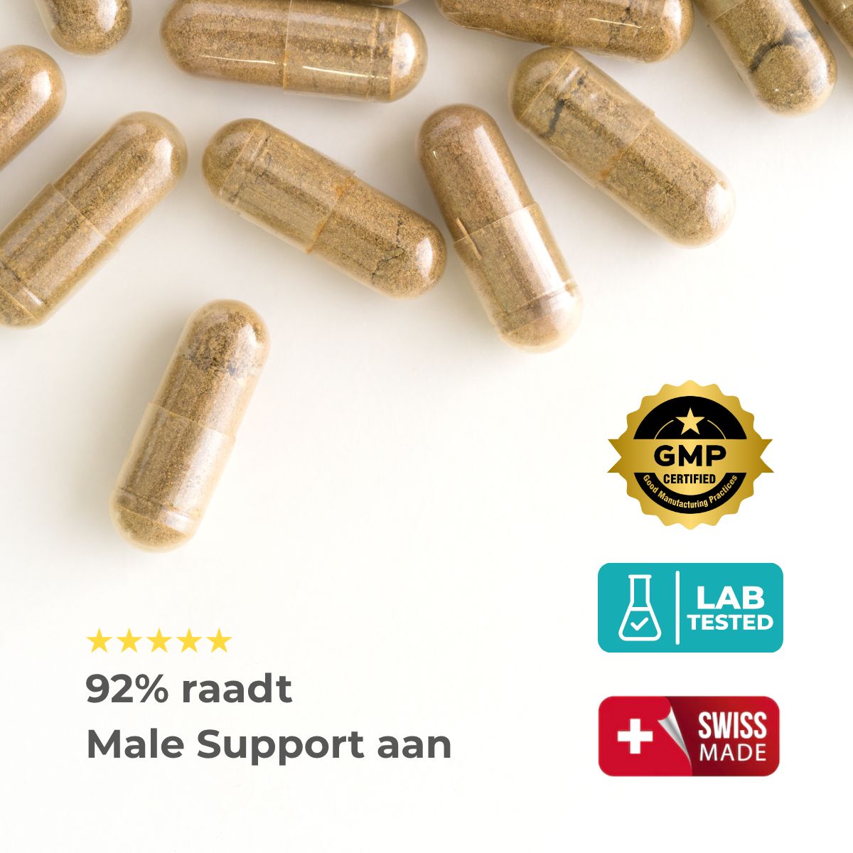 Capsules op witte achtergrond. Tekst: 92% raadt Male Support aan. GMP-gecertificeerd, lab getest.