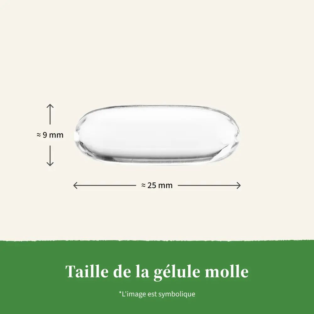 Gélule, env. 25 mm de long, 9 mm de large. Texte : Taille de la gélule. L'image est symbolique.
