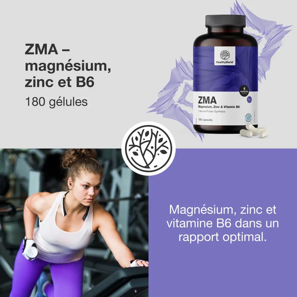 Flacons de gélules HealthyWorld ZMA sous différents angles, logo et texte.