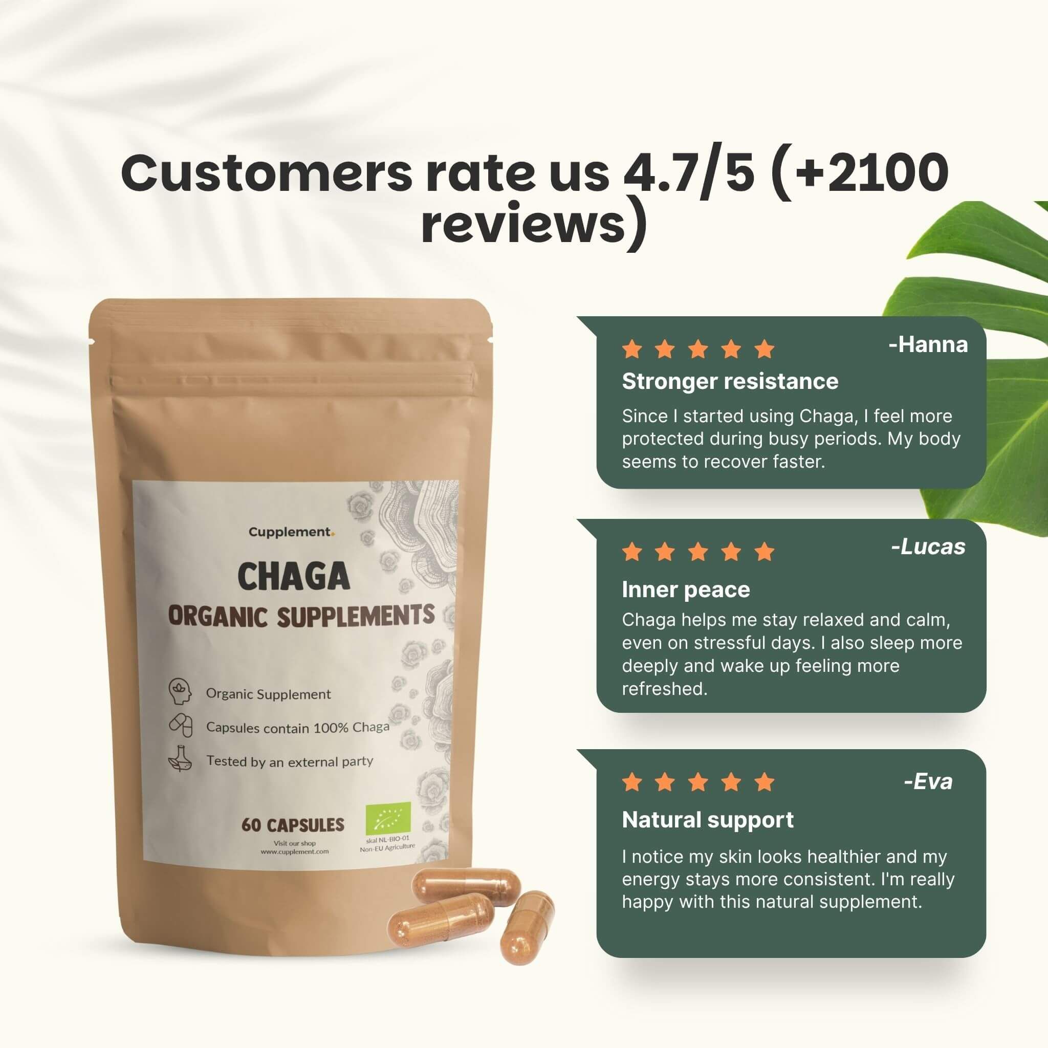 Comparaison : gélules Cupplement Chaga vs. autres fournisseurs. Sachet en papier kraft, gélules végétaliennes.