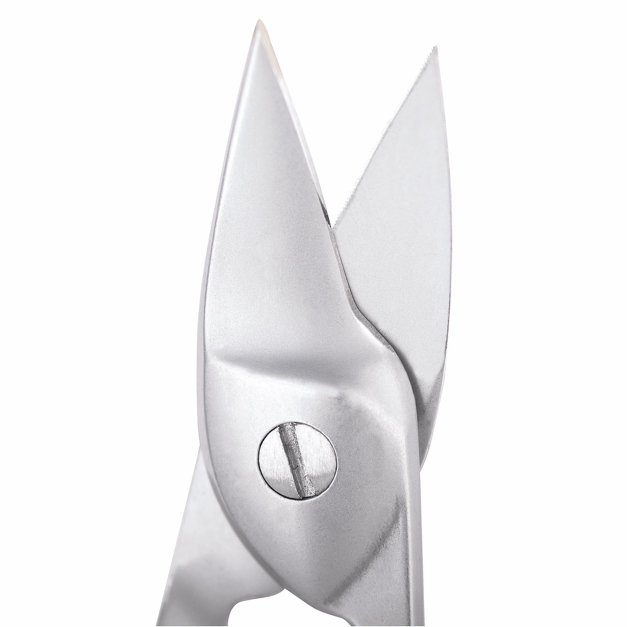 Close-up van een roestvrijstalen nagelschaar. Puntige bladen, verbonden door een schroef. Detailweergave.