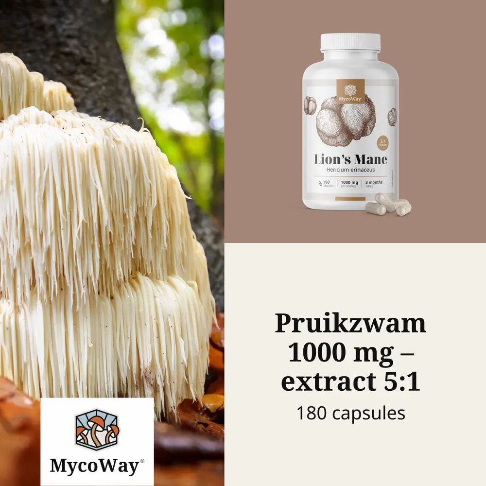 Fles Lion's Mane en paddenstoel. Tekst: Pruikzwam 1000 mg - extract 5:1. Merk: MycoWay.