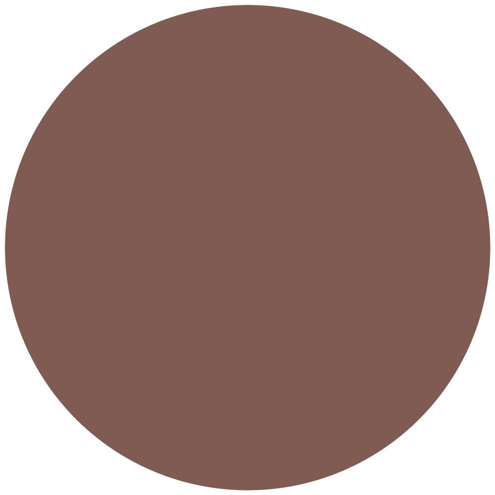 Cercle de couleur marron. Aucun autre détail.