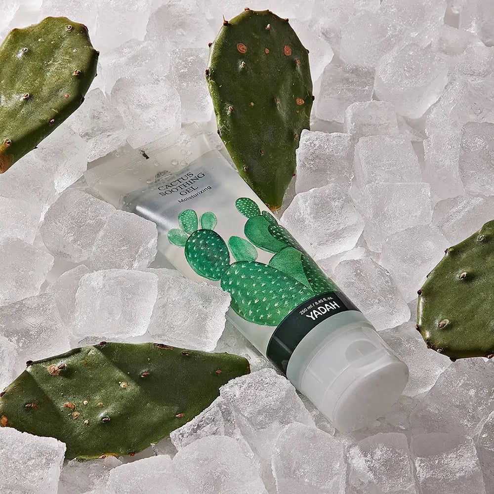 Tube de gel transparent entouré de glaçons et de feuilles de cactus. Inscription : Cactus Soothing Gel, YADAH.