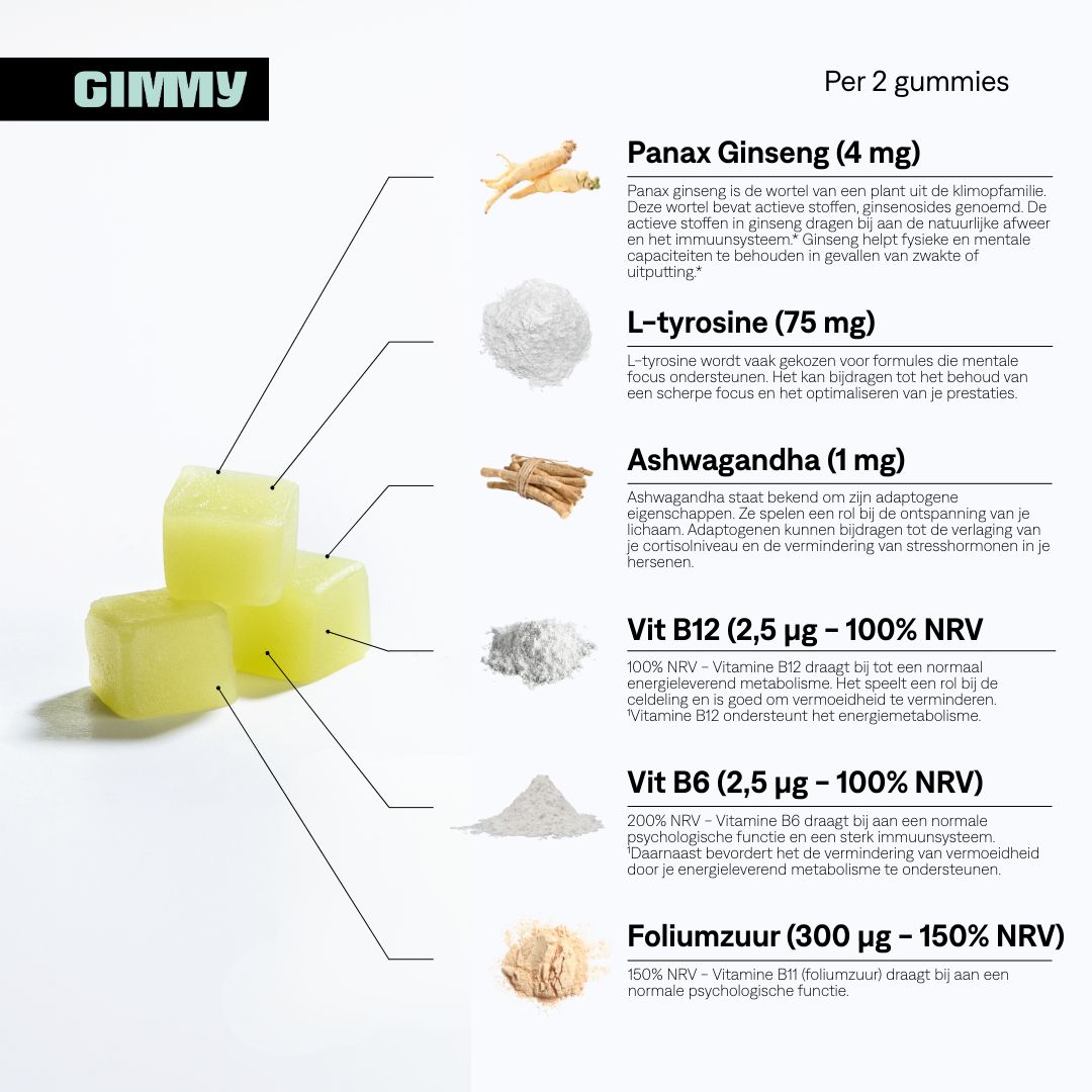 GIMMY Focus Gummies. Gele, vierkante gummies. Tekst met ingrediënten: Ginseng, L-Tyrosine, Ashwagandha, vitaminen.