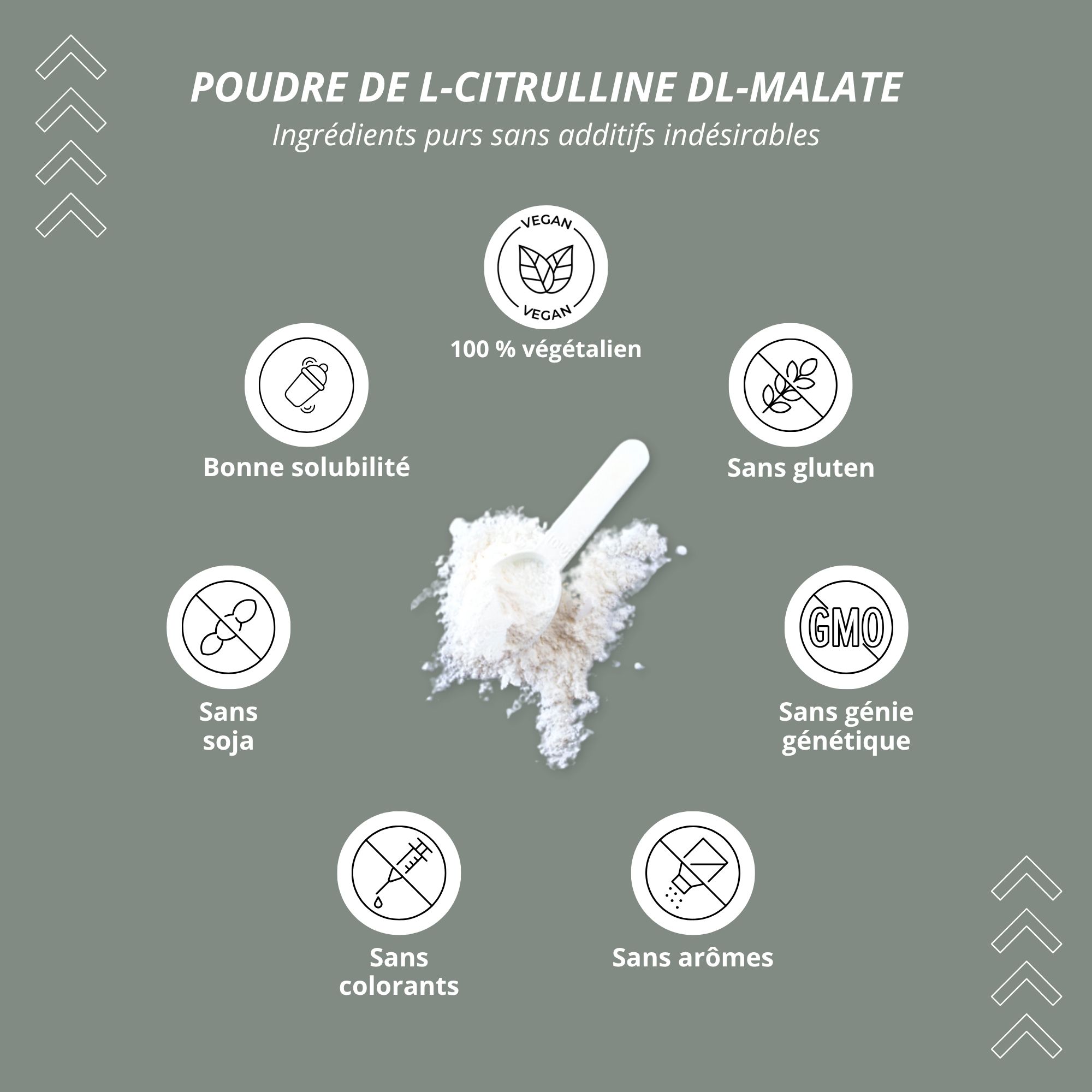 Icônes circulaires avec texte : 100% végétalien, sans gluten, sans OGM, sans colorants, sans arômes, sans soja, bonne solubilité.