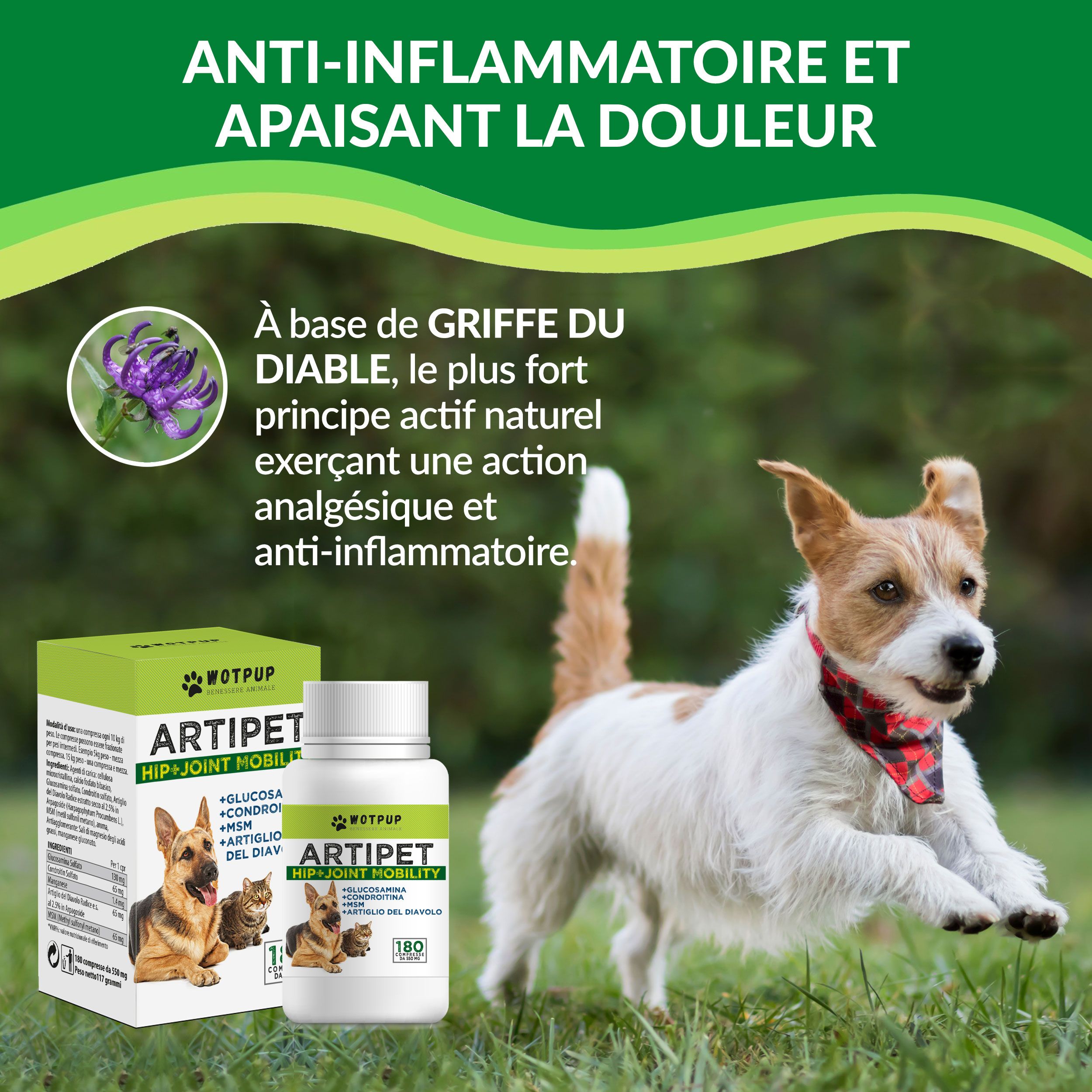Artipet © Gewrichtssupplement voor Honden en Katten met Glucosamine en Chondroïtine