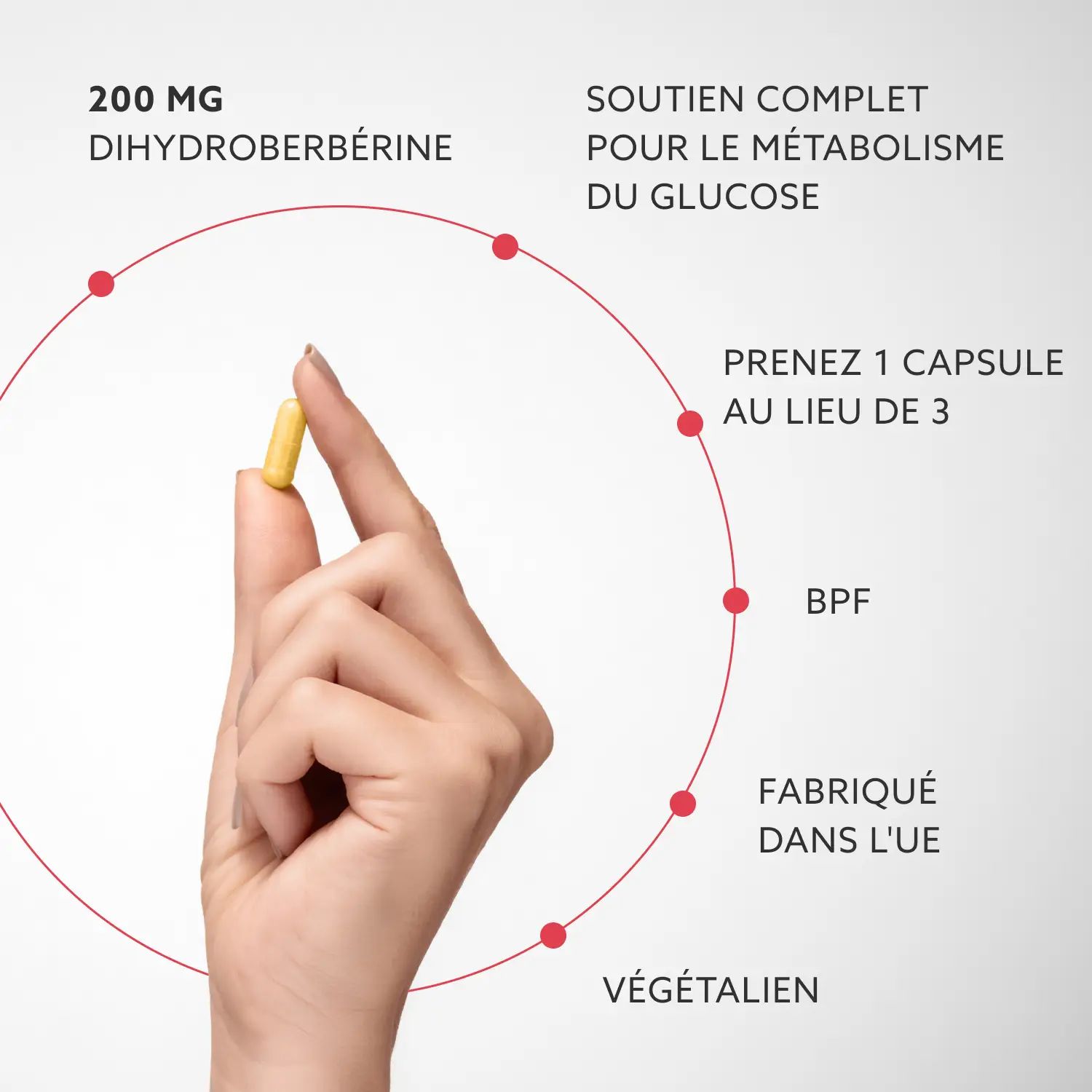 Main tenant une capsule jaune. Texte : 200 MG Dihydroberbérine, Végétalien, BPF, fabriqué dans l'UE, soutien complet.