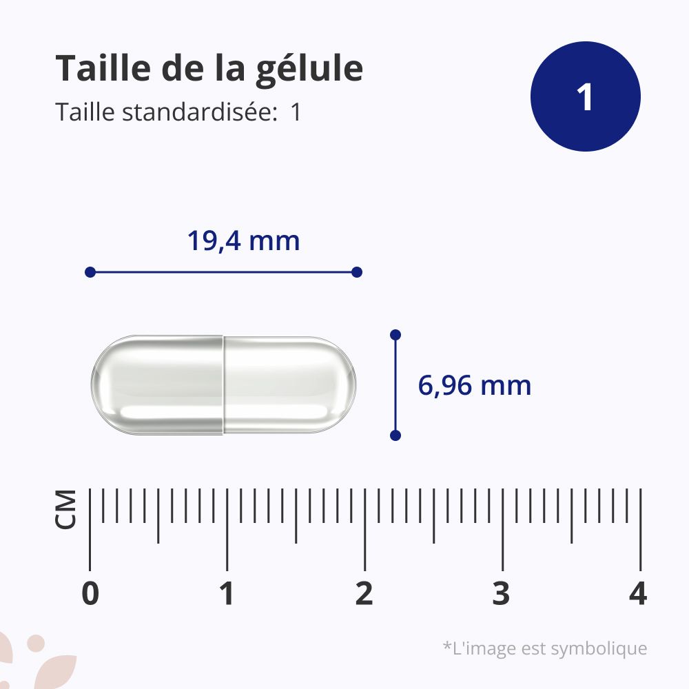 Capsule avec dimensions: 19,4 mm x 6,96 mm. Taille standardisée: 1. Cercle bleu avec le chiffre 1.