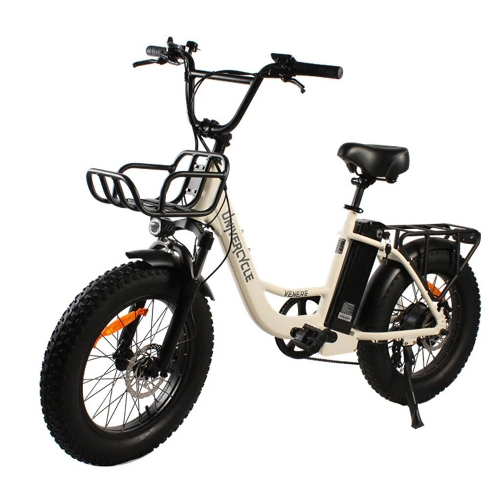 Univercycle B5(Venere) Elektrische fiets met voordrager, 48V 15AH accu
