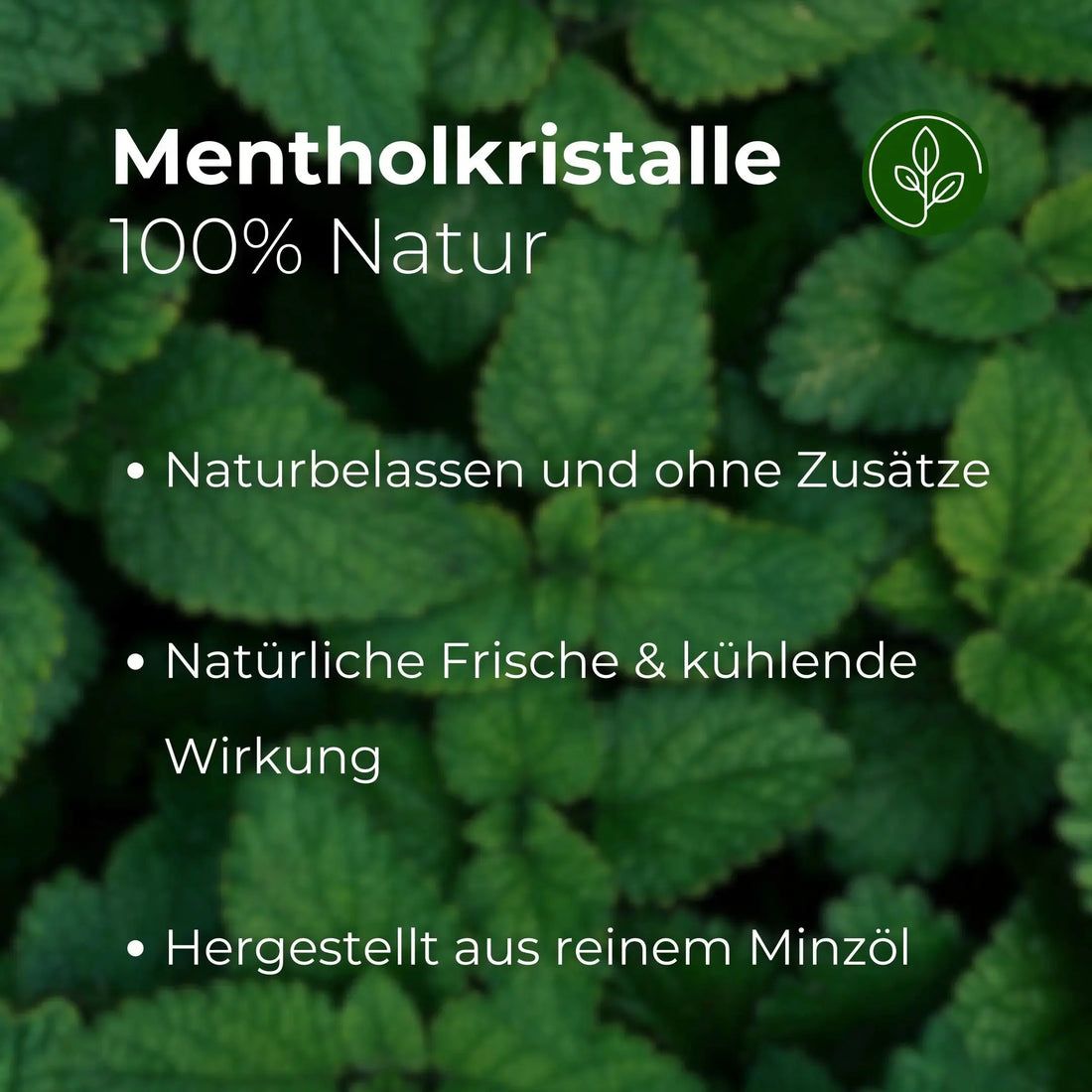 Fond vert avec des feuilles. Texte : Cristaux de menthol, 100% naturel, naturels, fraîcheur naturelle, fabriqués à partir d'huile de menthe pure.