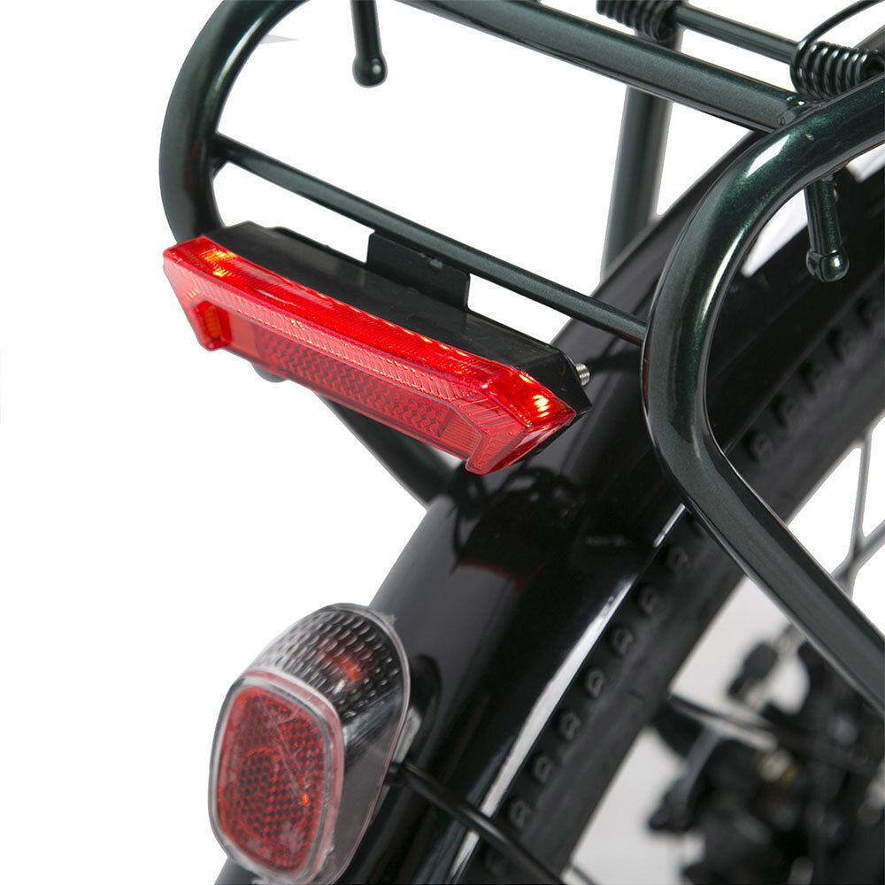 Achterlicht op de bagagedrager. Rood licht. Zwarte behuizing. Reflector. Groen gelakt frame.