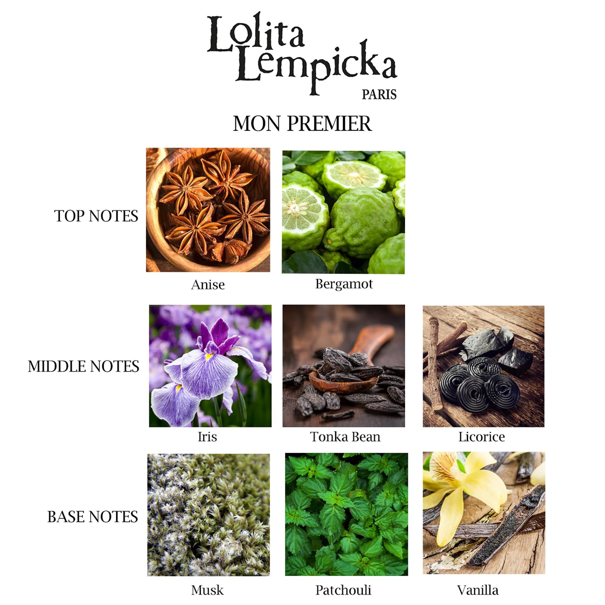 Grafiek met geurnoten. Topnoten: Anijs, Bergamot. Midden: Iris, Tonkaboon, Zoethout. Basis: Musk, Patchouli, Vanille.