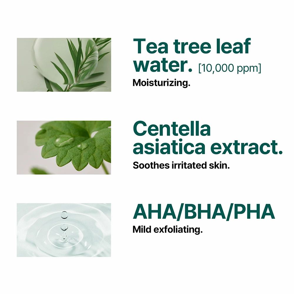 Drie afbeeldingen met tekst. Toont tea tree leaf water, Centella asiatica extract en AHA/BHA/PHA. Beschrijvingen in het Engels.