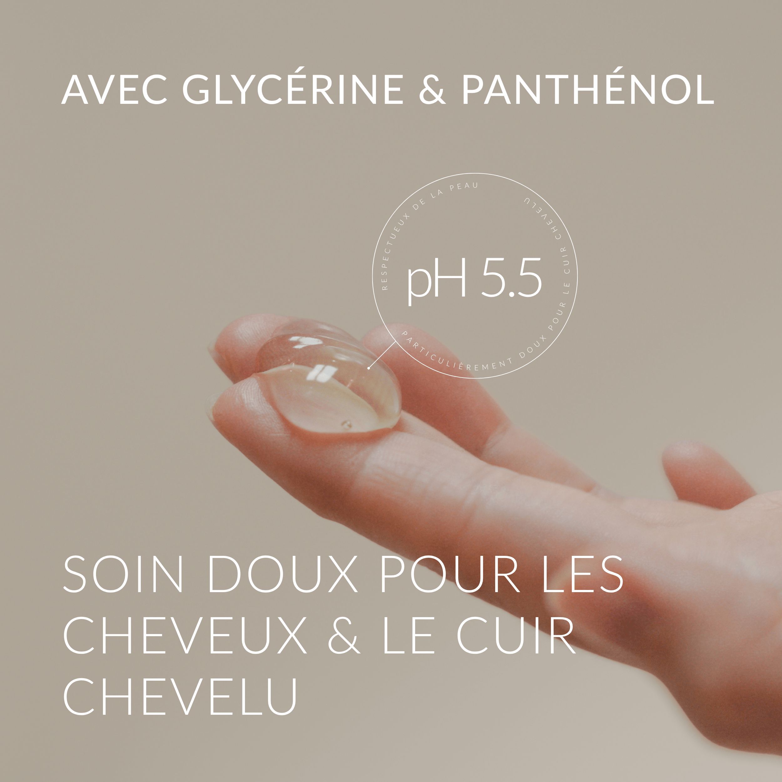 Main avec goutte de shampooing. Texte : AVEC GLYCÉRINE & PANTHÉNOL. pH 5.5. SOIN DOUX POUR LES CHEVEUX & LE CUIR CHEVELU.