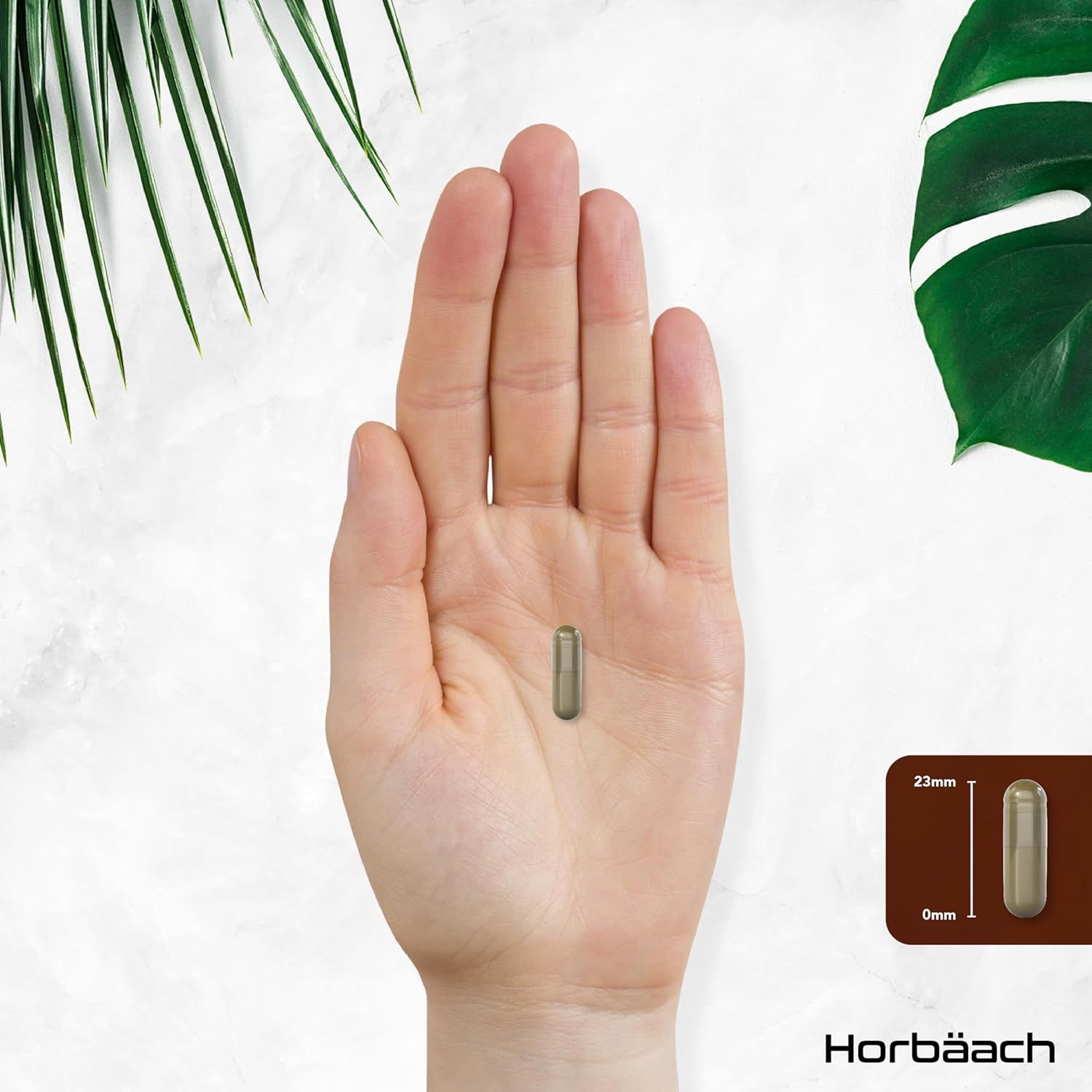 Capsule in hand. Afmetingen: 23mm lang, 9mm diameter. Bruine achtergrondkaart met afmetingen.