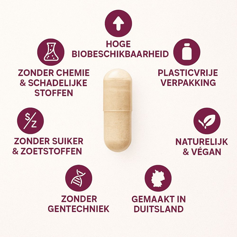 Capsule in het midden, omringd door symbolen: hoge biologische beschikbaarheid, zonder chemie, zonder suiker, natuurlijk & vegan, zonder genetische manipulatie, gemaakt in Duitsland.