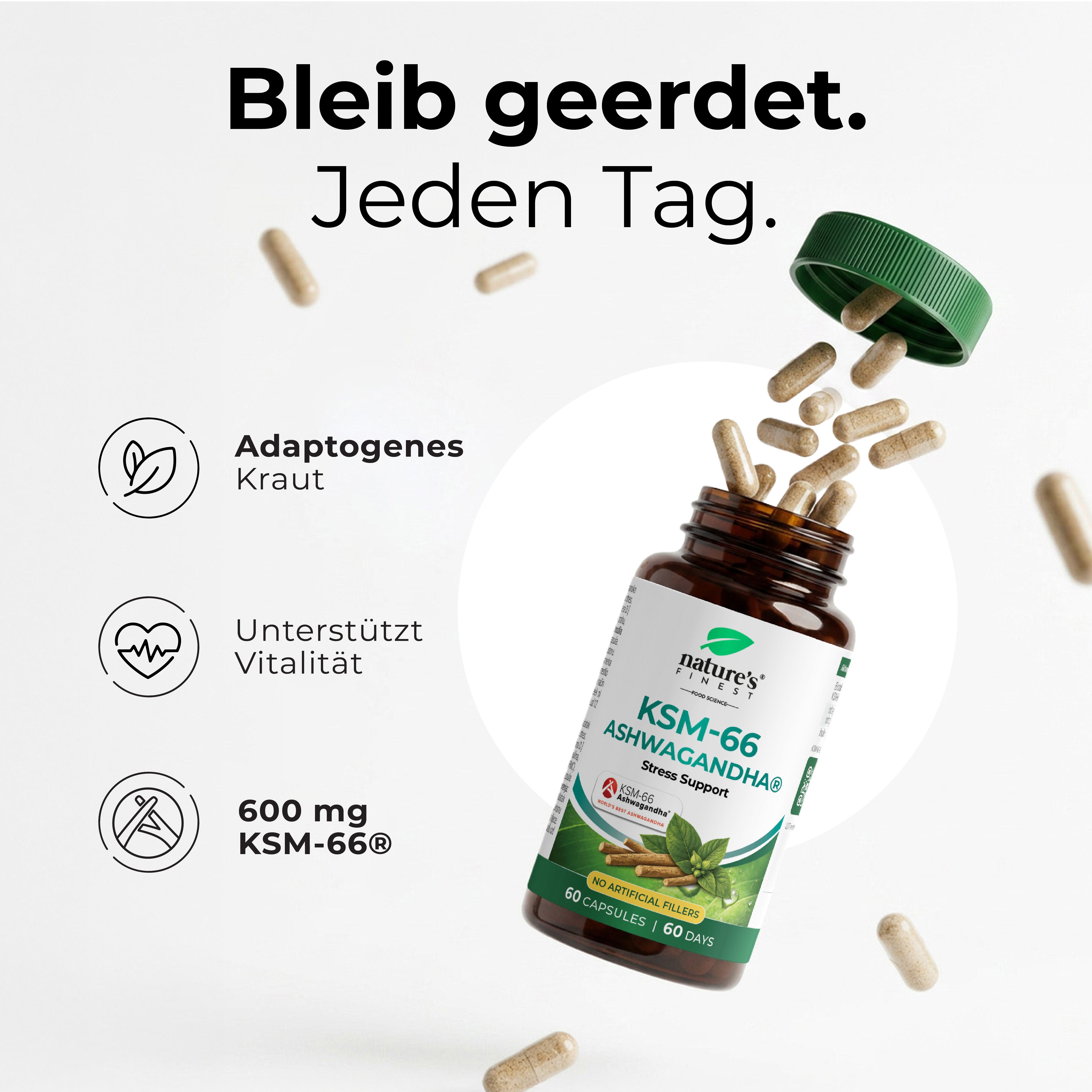 Bouteille de gélules entourée de gélules individuelles et d'icônes pour Plante adaptogène, Vitalité et 600 mg KSM-66.