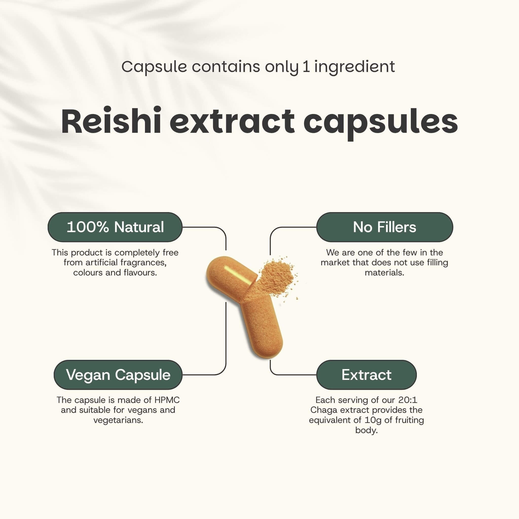Gélules d'extrait de Reishi. 100% naturel. Gélule végétalienne. Sans agents de remplissage. Extrait.
