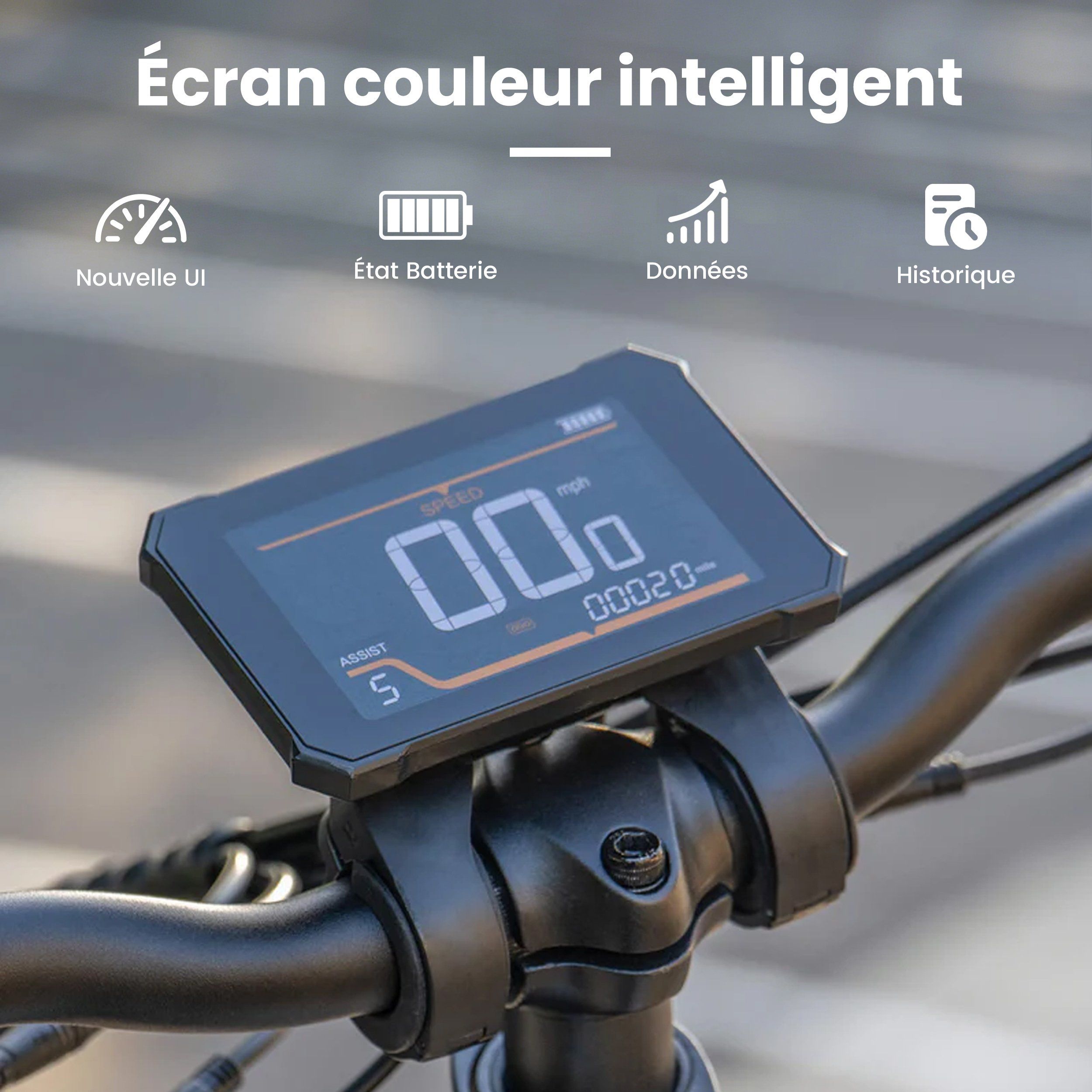KINGBULL Literider 2.0 Vélo électrique pliable, batterie amovible 48 V 13,5 Ah