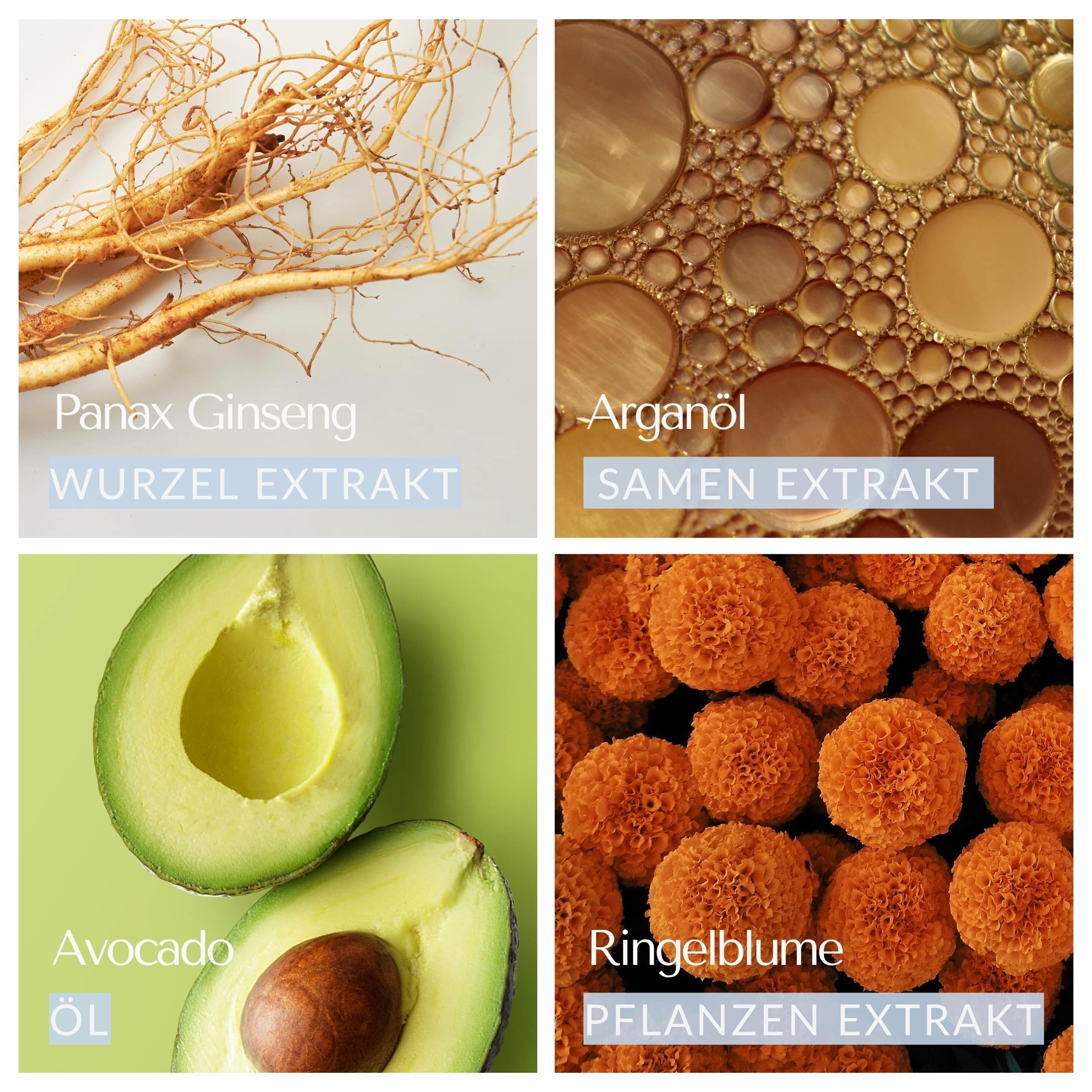 Quatre images : Panax Ginseng, Huile d'argan, Avocat, Calendula. Légendes avec noms et extraits.