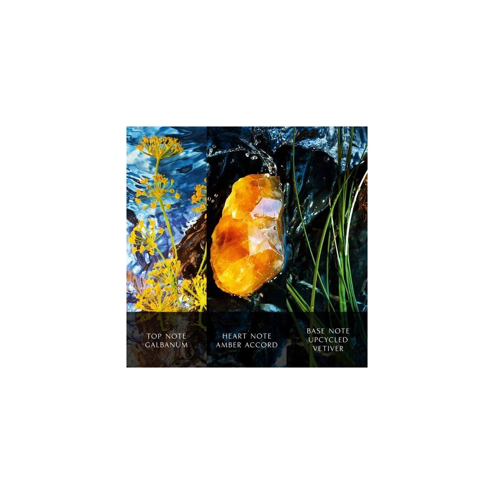 Trois éléments : Galbanum, Accord Ambre et Vétiver Upcyclé. Texte : Top Note, Heart Note, Base Note.