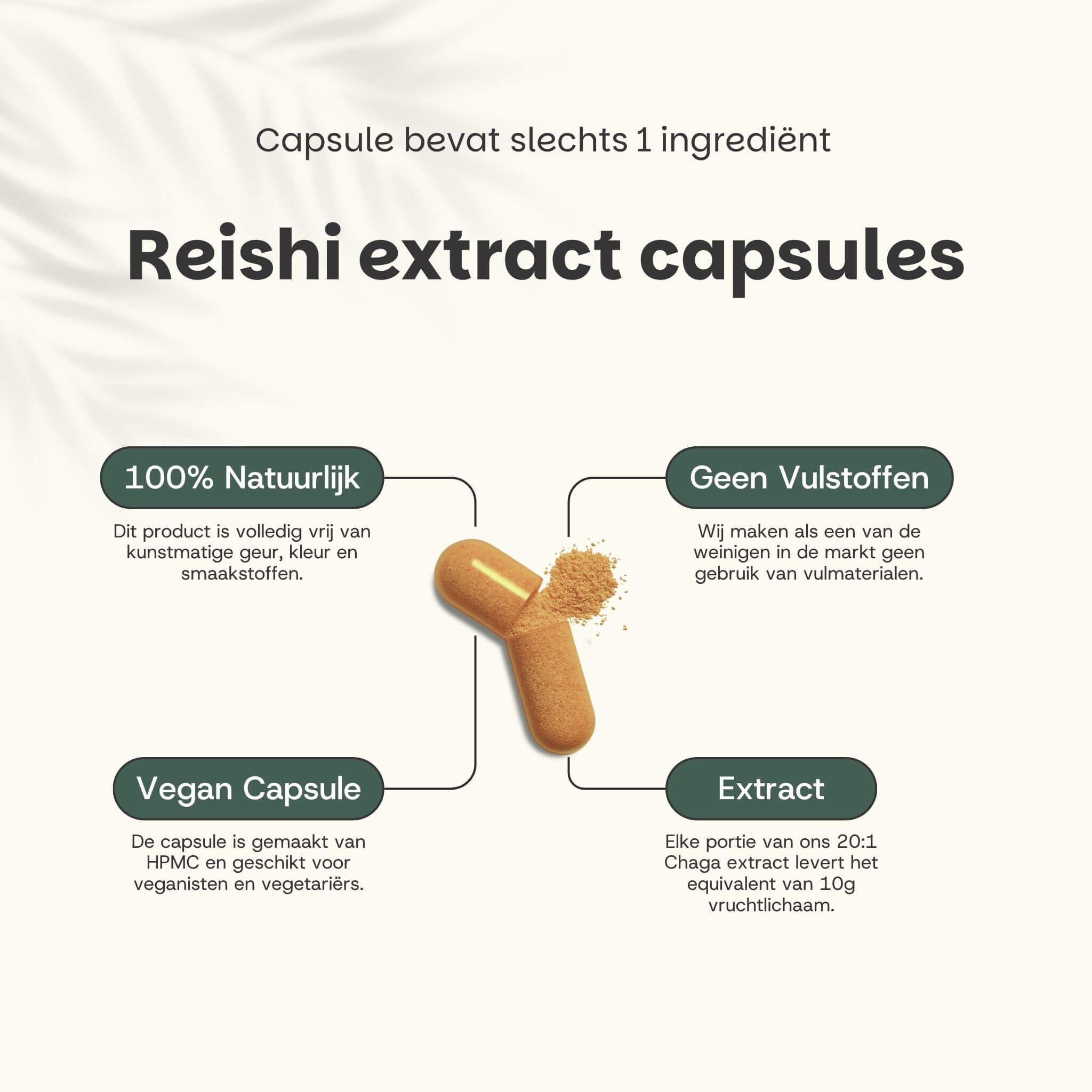 Reishi extract capsules. 100% natuurlijk. Vegan capsule. Geen vulstoffen. Extract.