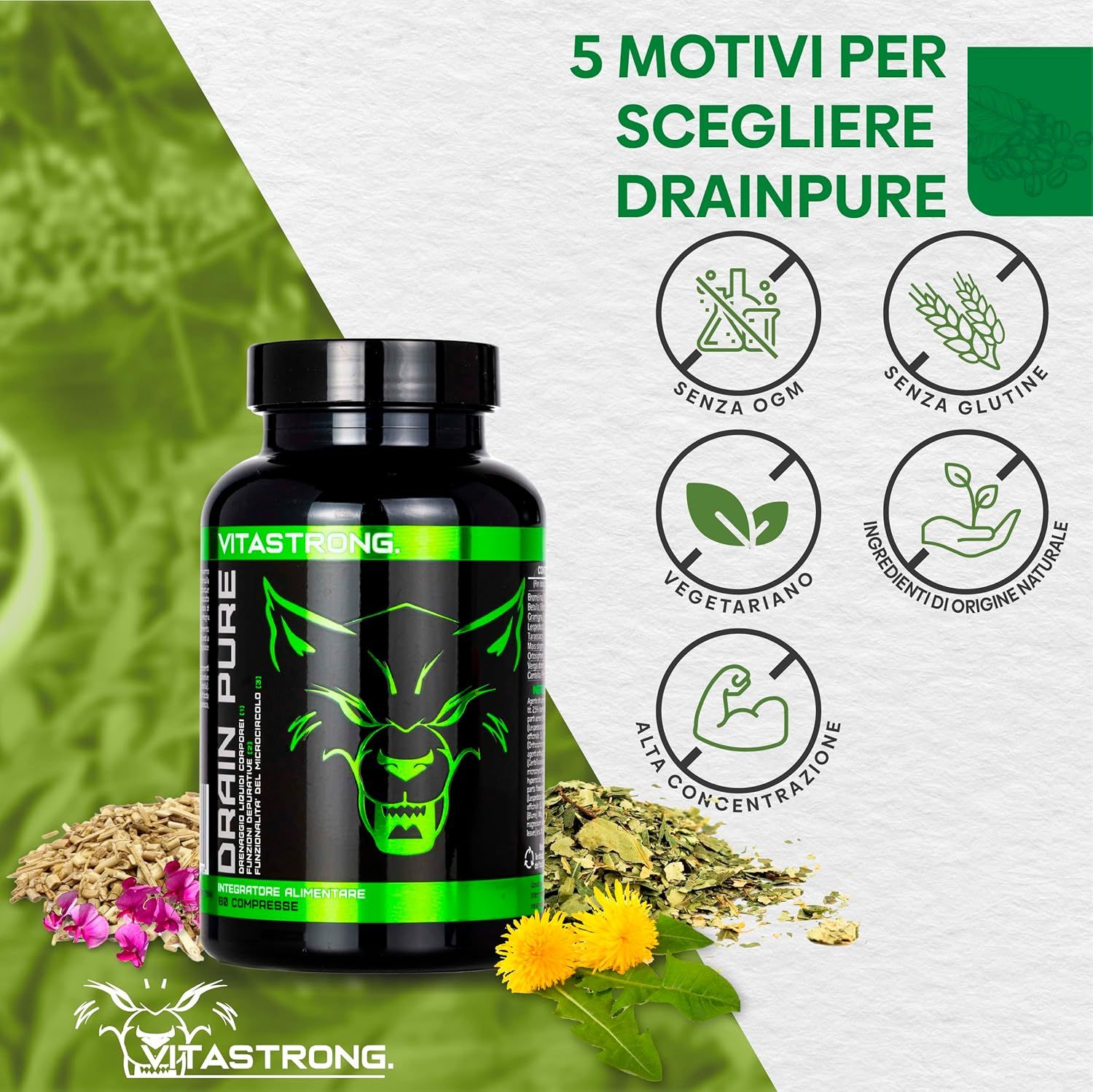 Vitastrong Drainpure, tabletten. Tabletten op een lepel. Zwarte fles met groen etiket. Wolf-logo. Opschrift: Drain Pure.