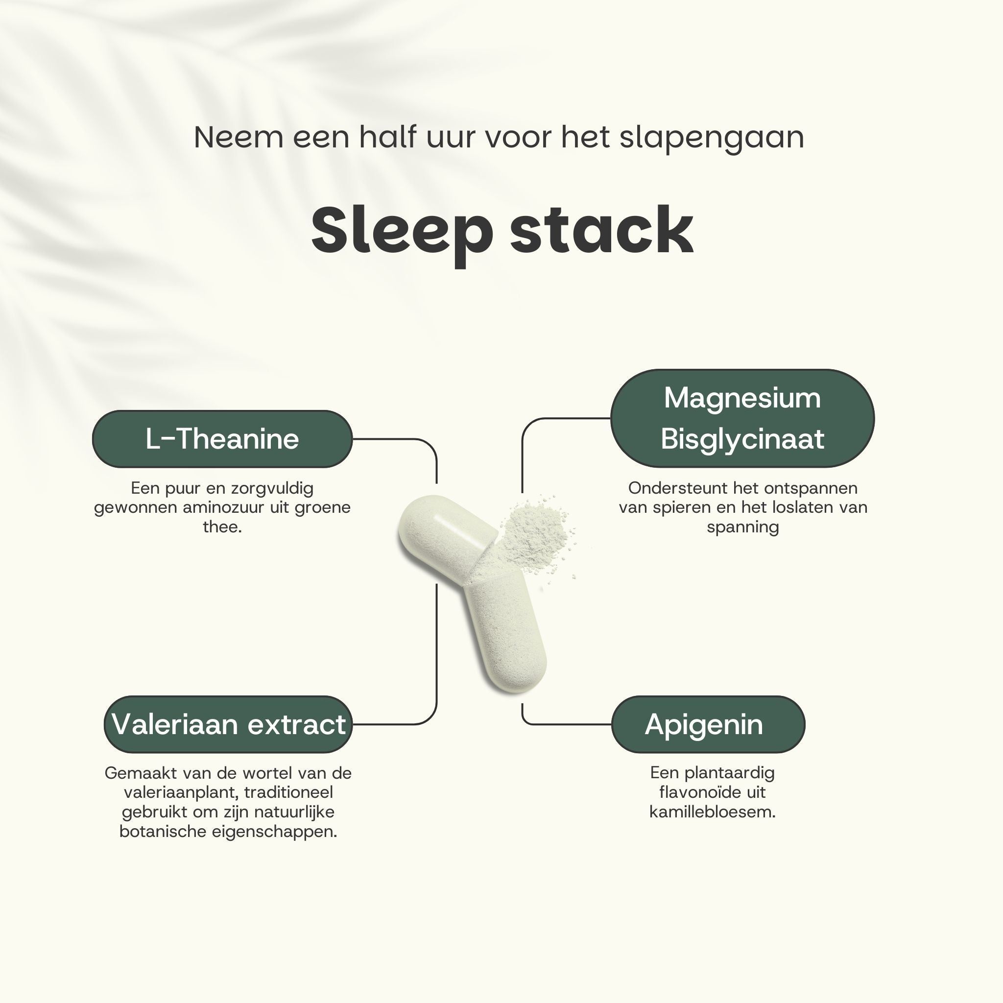 Capsule met ingrediënten: L-Theanine, valeriaanextract, apigenine, magnesiumbisglycinaat. Tekst: Sleep stack.