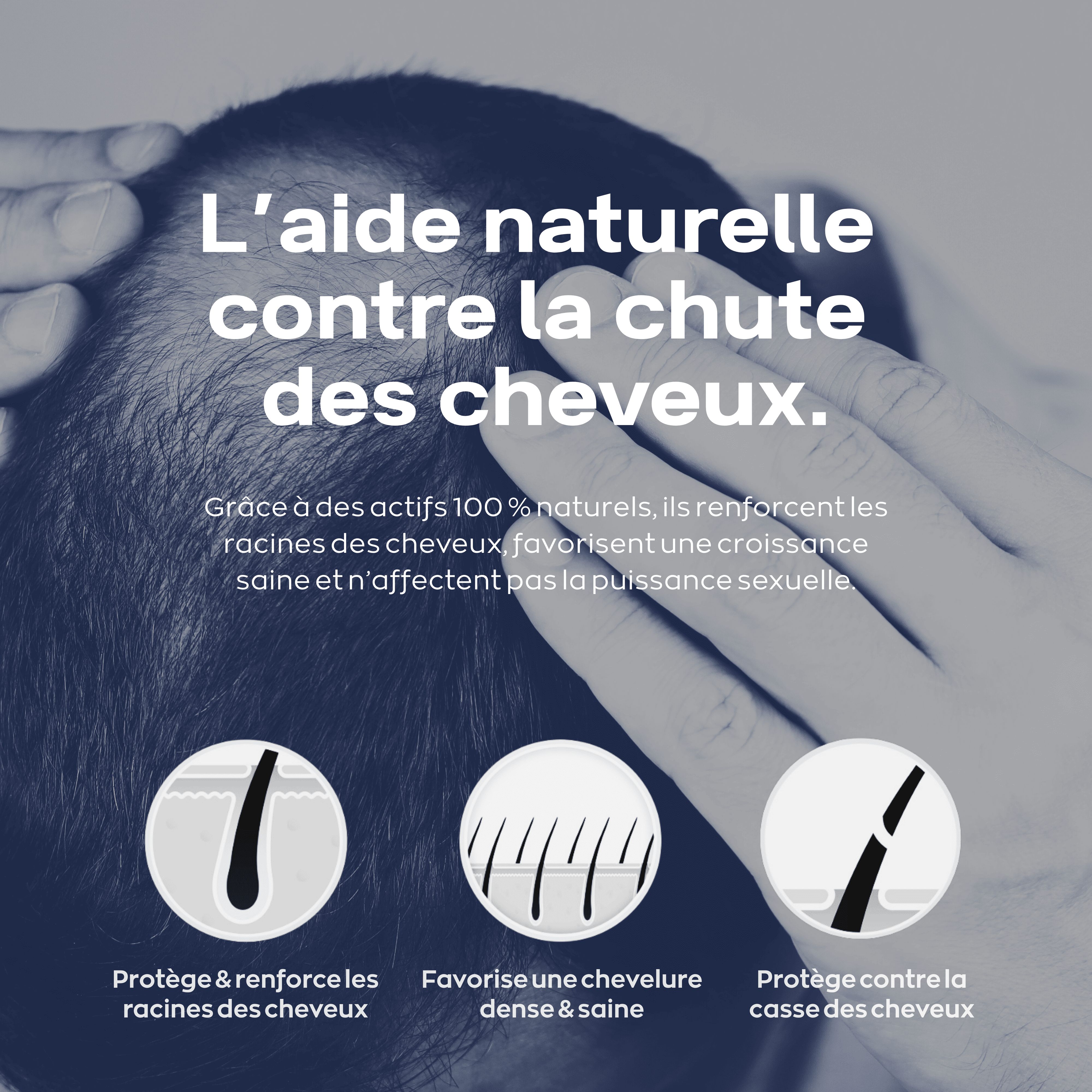 Graphique avec trois symboles : protéger les racines des cheveux, favoriser une croissance saine, protéger contre la casse. Texte : Aide naturelle.
