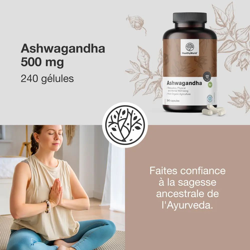 Publicité pour Ashwagandha 500 mg, 240 gélules. Propriétés adaptogènes, action polyvalente. Fabriqué dans l'UE.