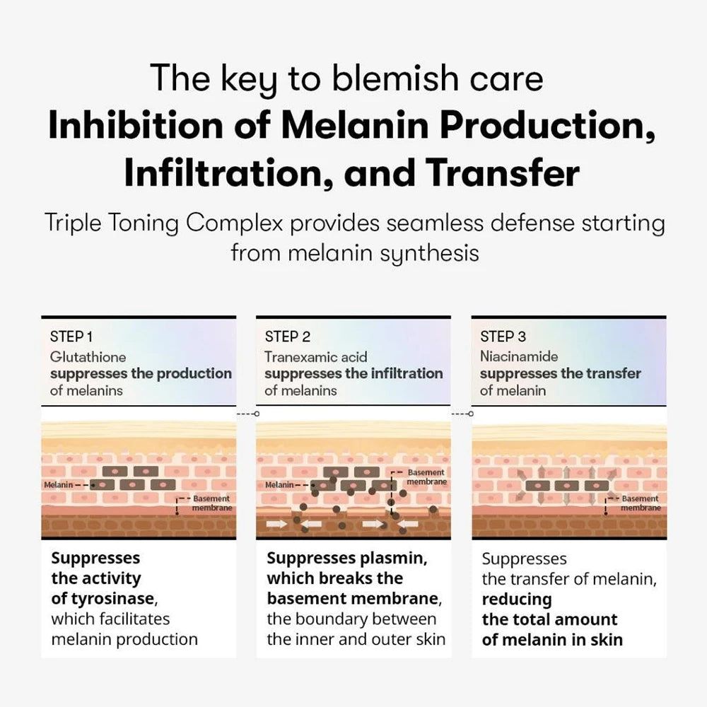 Graphique illustrant trois étapes pour inhiber la production, l'infiltration et le transfert de mélanine dans la peau.