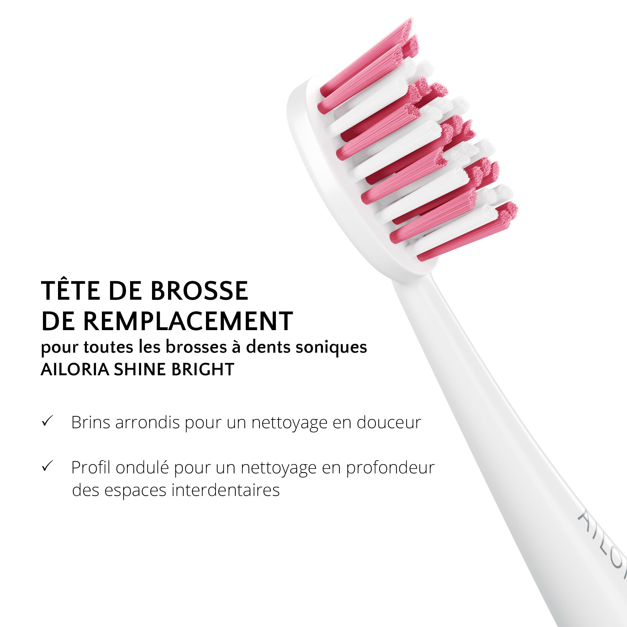 Gros plan d'une tête de brosse de remplacement blanche avec des poils roses et blancs. Texte: Tête de brosse de remplacement pour AILORIA SHINE BRIGHT.