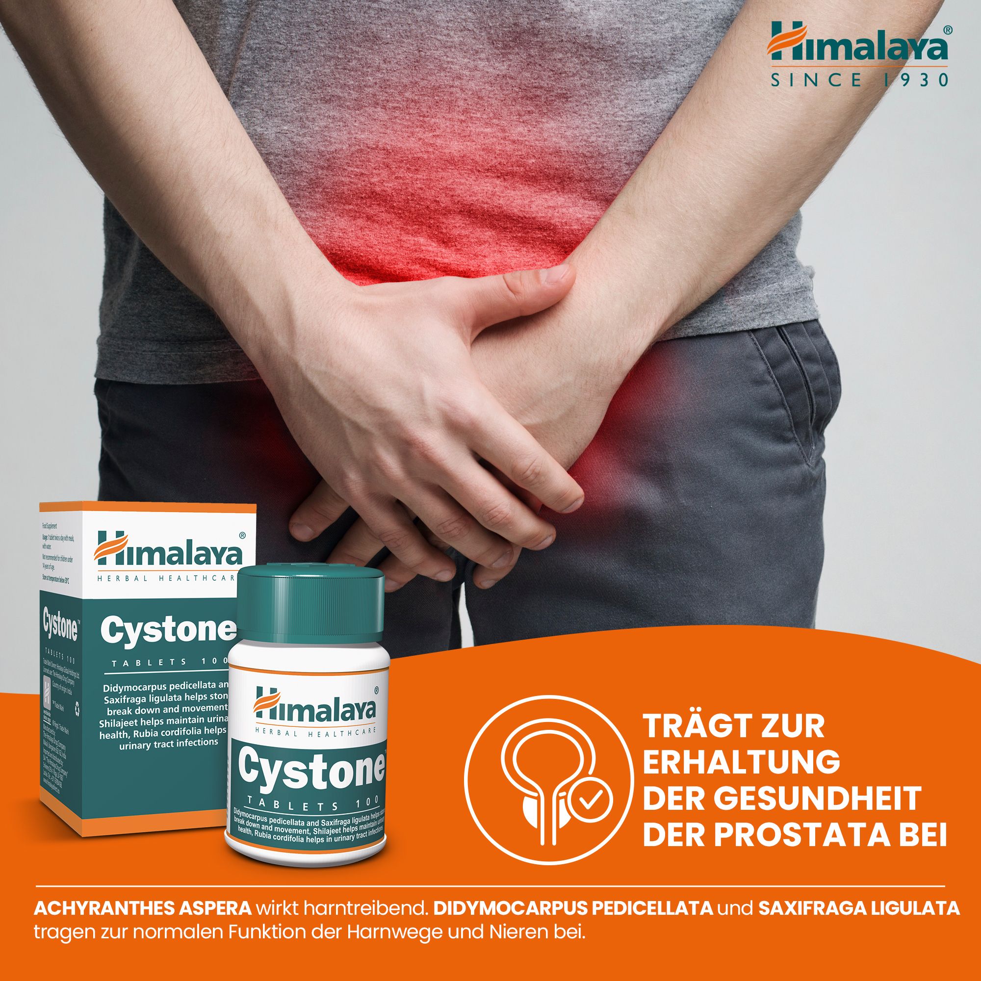 Homme avec inconfort pelvien à côté de Cystone Himalaya et symbole de santé de la prostate.