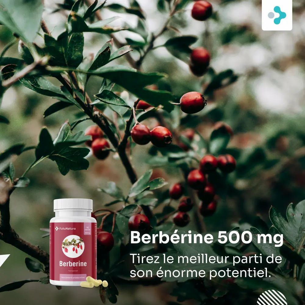 Flacon de gélules de berbérine devant des branches et des baies rouges. Texte : Berbérine 500 mg. Logo FutuNatura.