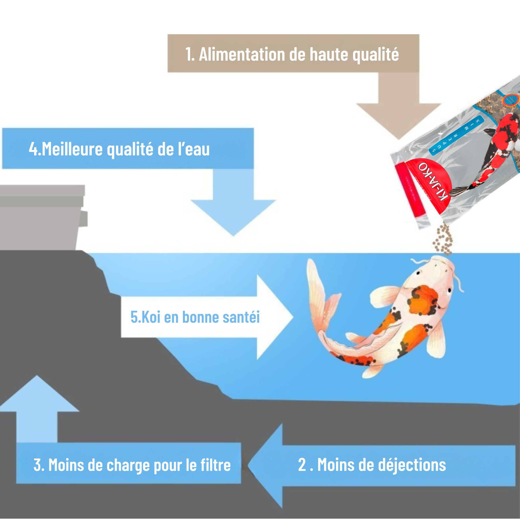Graphique : amélioration de la qualité de l'eau avec l'alimentation KI-JA-KO. Poisson koï dans l'eau.